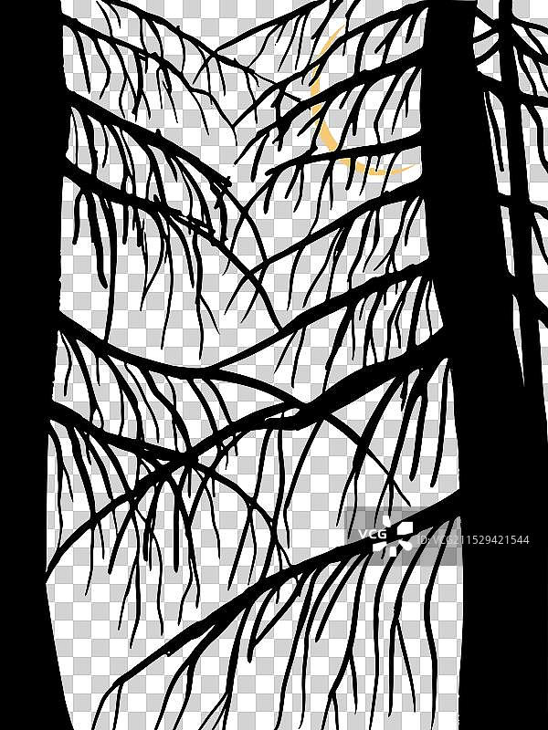 夜晚森林风景的绘画图片素材