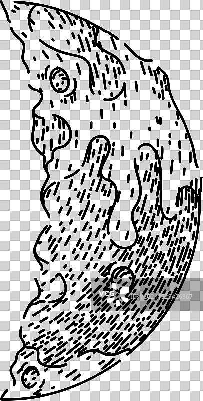 手绘的月食草图图片素材