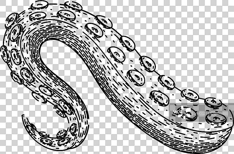 海洋章鱼克拉肯触手素描手绘图片素材