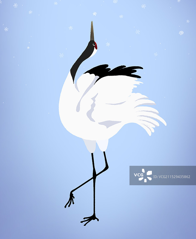 雪夜的丹顶鹤图片素材