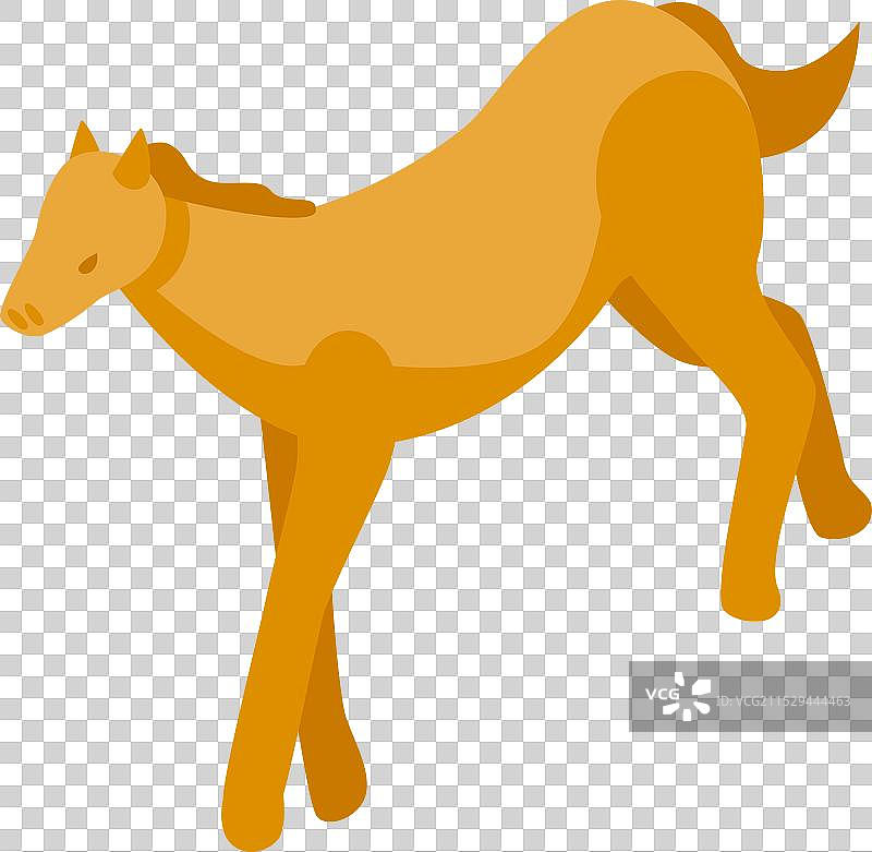 年轻马的等距视图图片素材