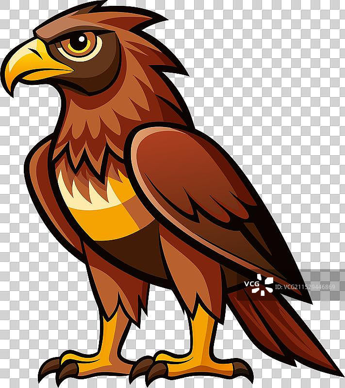 一只鹰站在地面上图片素材