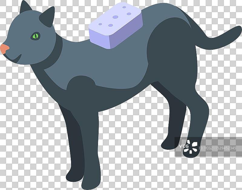 黑猫背上驮着海绵的等距图图片素材