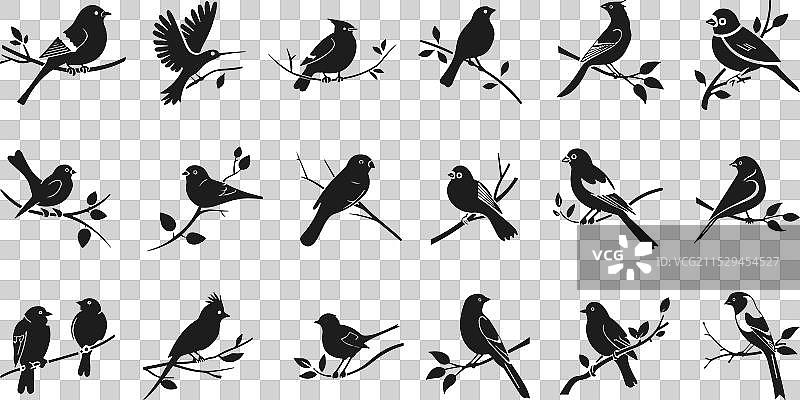 树枝上的小鸟图标集图片素材