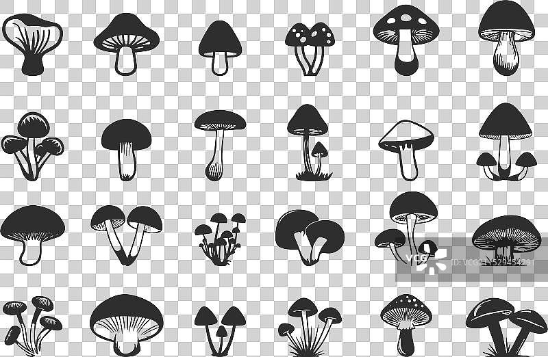 秋季森林蘑菇图标集 健康植物图片素材