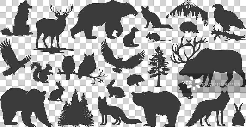 野生森林动物剪影：熊、狐狸、狼图片素材