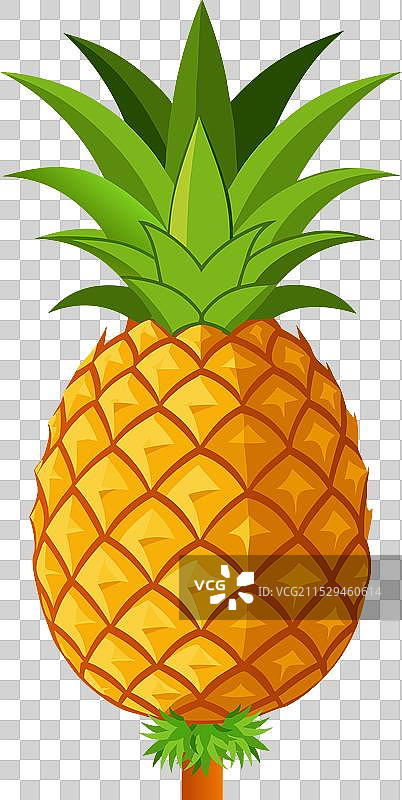 整颗菠萝的真实设计图片素材