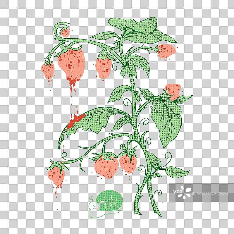创意草莓树藤蔓插画元素图片素材