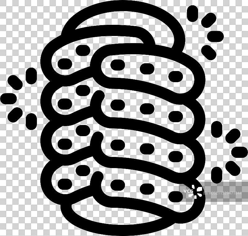 细菌细胞分裂和繁殖的过程展示图片素材