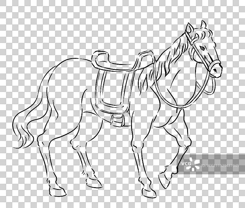 一匹有马鞍的战马坐骑手绘插画元素线稿图片素材
