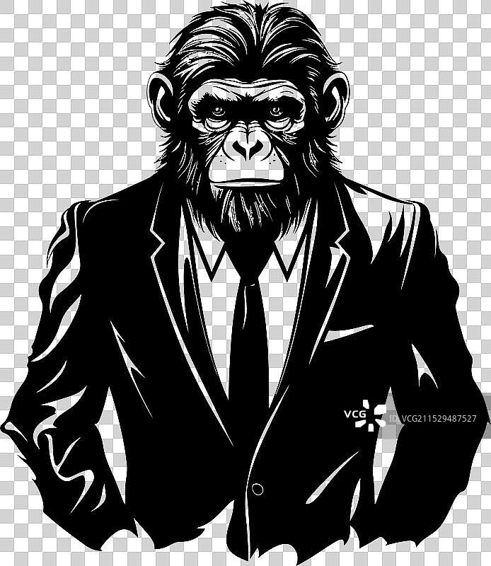 时尚的猩猩魅力，穿着长发的猩猩西装图片素材