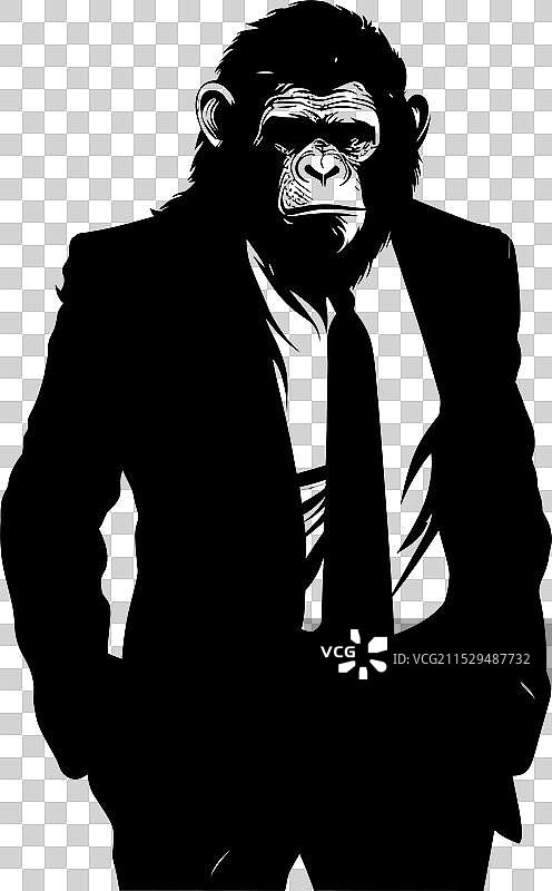 穿着西装的长发猩猩，优雅的高管标志图片素材