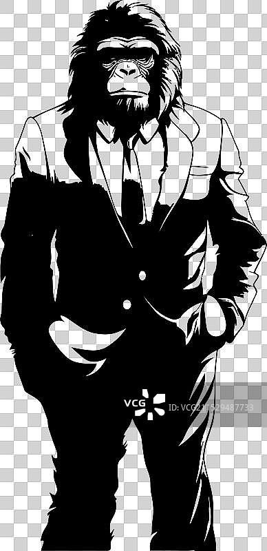 穿着西装的职业猩猩图片素材