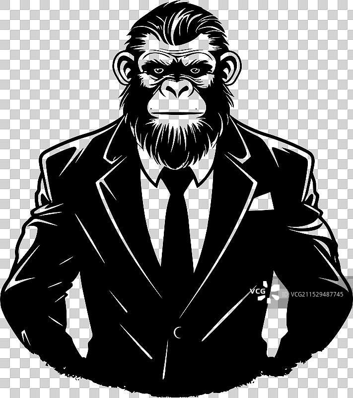 优雅的长发猿类穿着正式服装图片素材