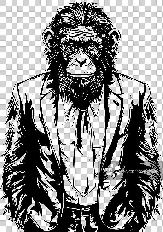 优雅的企业时尚西装猿类标志图片素材