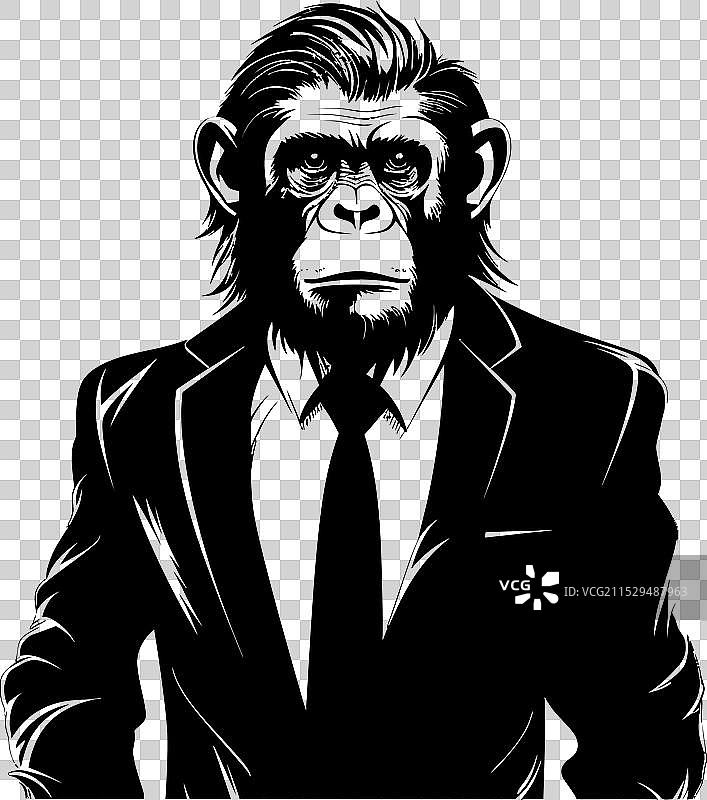 优雅的猿猴，穿着正式服装的时尚黑猩猩图片素材