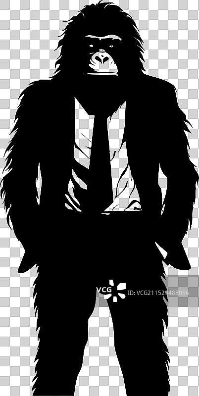 时尚的长毛猩猩穿着西装图片素材