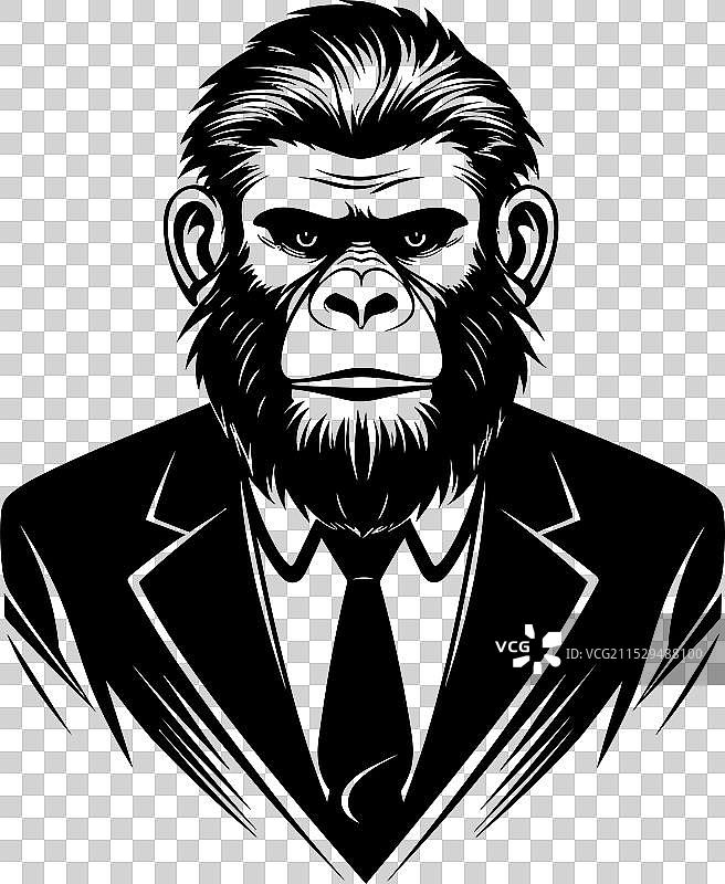 优雅的高管时尚猩猩在商务场合图片素材