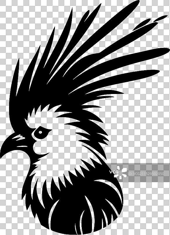 鹦鹉 - 极简和简单的轮廓图片素材