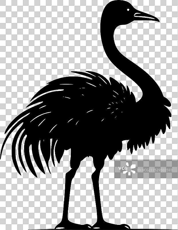 渡渡鸟 - 极简风格的平面logo图片素材