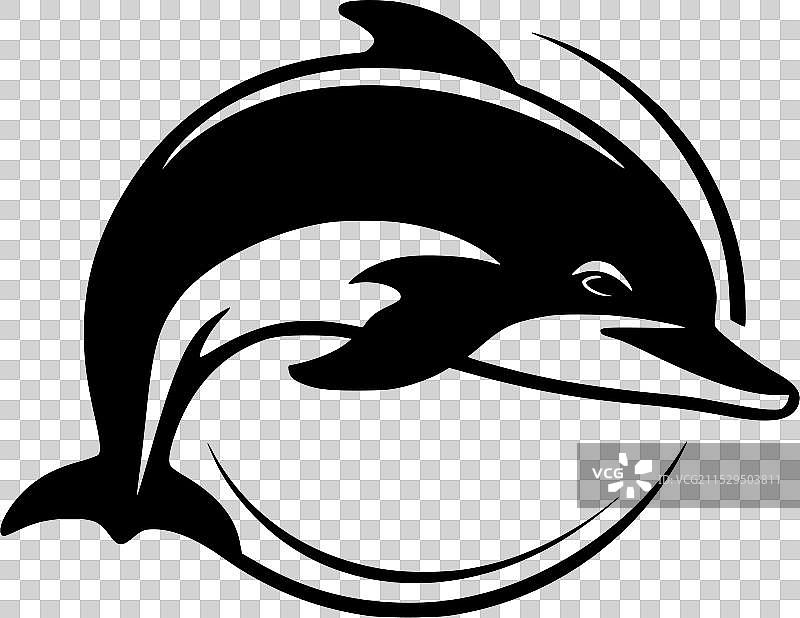 黑白海豚图片素材