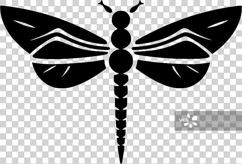 黑白色的蜻蜓图片素材