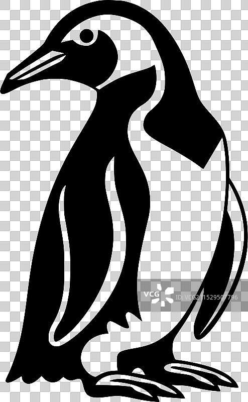 企鹅 - 黑白色图片素材