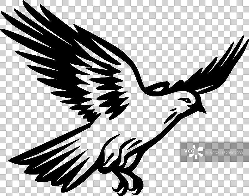 鸽子 - 极简和简单的轮廓图片素材