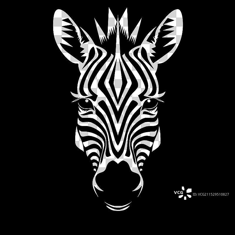 小斑马 - 黑白色图片素材