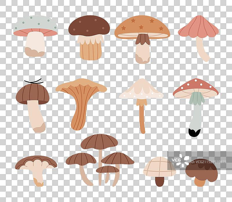 一组可爱的森林蘑菇，色调柔和图片素材