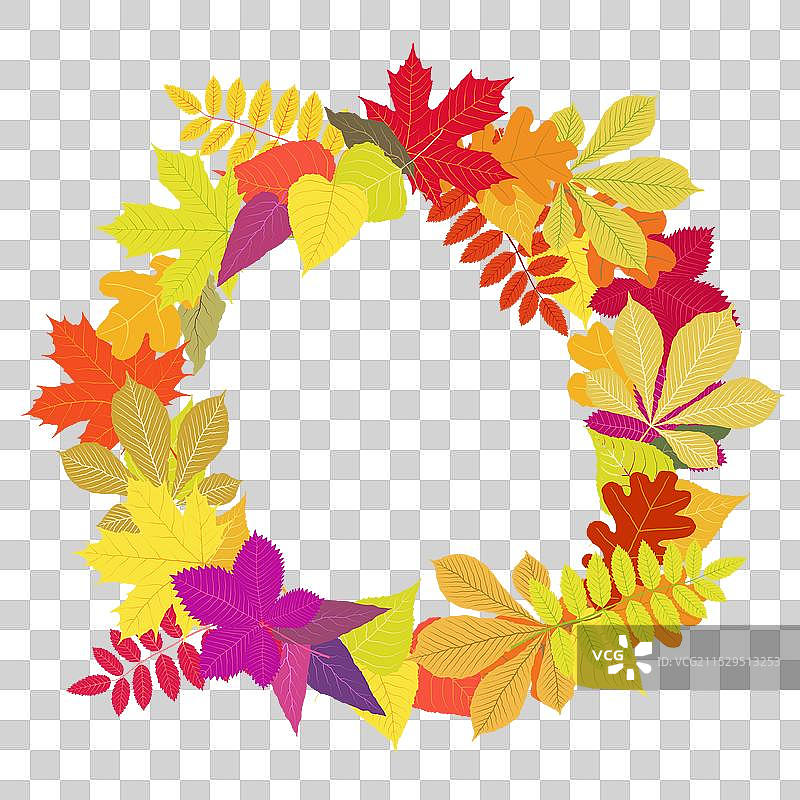 白色背景上的秋叶花环图片素材