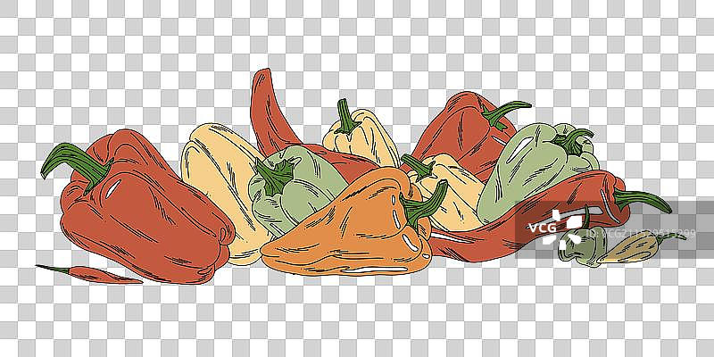 鲜艳蔬菜和辣椒的组合图片素材