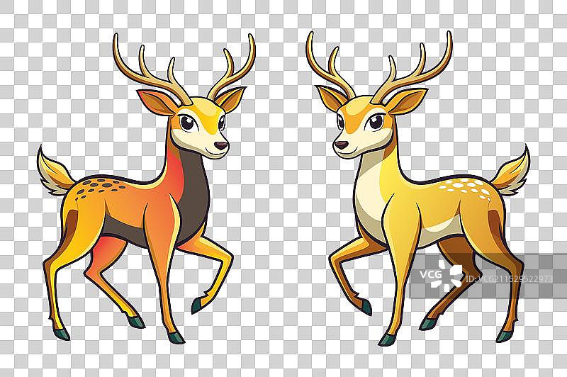 梅花鹿、轴鹿、桑巴鹿孤立图像图片素材