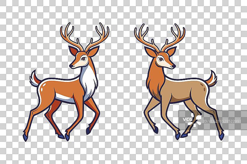 梅花鹿、轴鹿、桑巴鹿，孤立展示图片素材