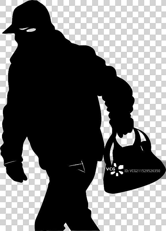 被掠夺的财富，偷走的包，掠夺的手袋标志图片素材