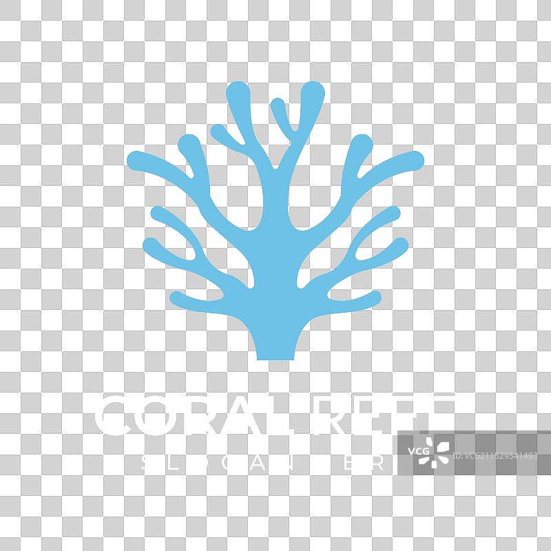 美丽多彩的自然水下珊瑚礁图片素材