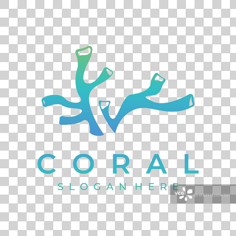 美丽多彩的自然水下珊瑚礁图片素材