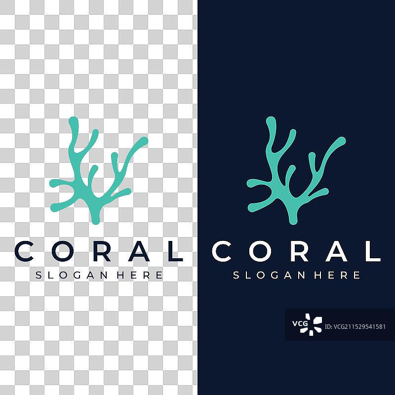 美丽多彩的自然水下珊瑚礁图片素材