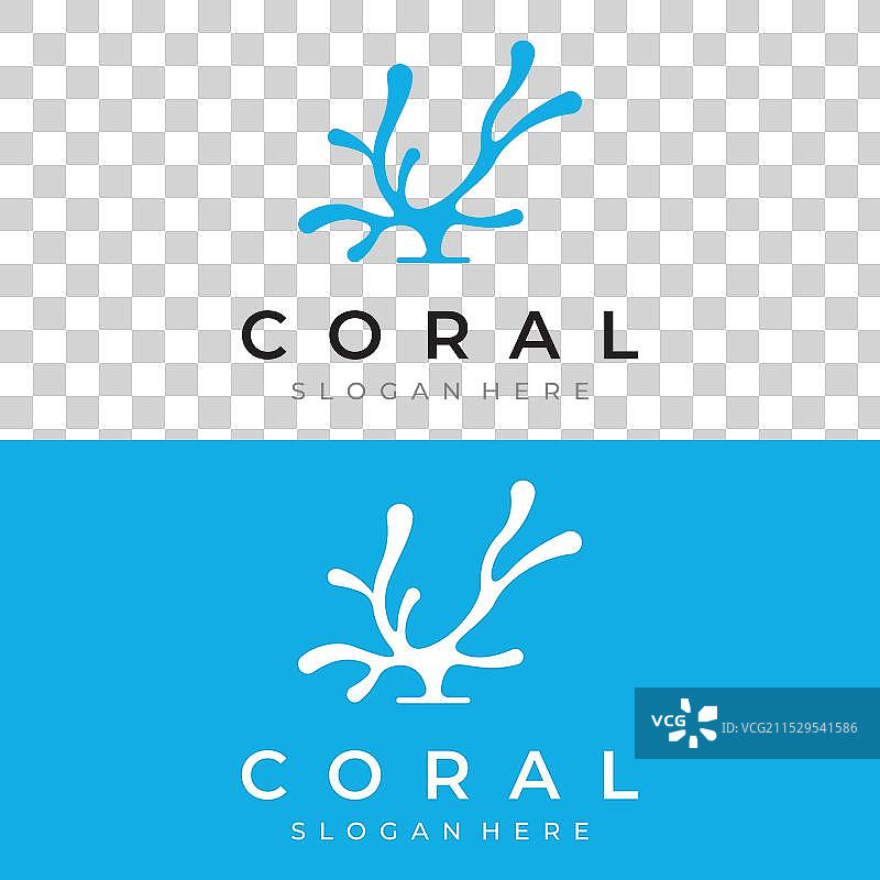 美丽多彩的自然水下珊瑚礁图片素材