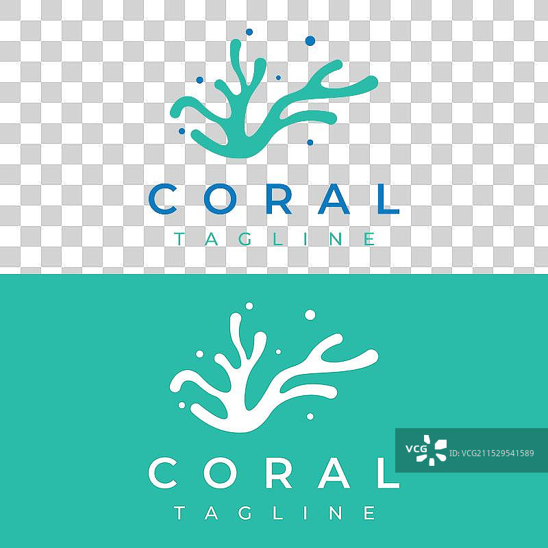 美丽多彩的自然水下珊瑚礁图片素材