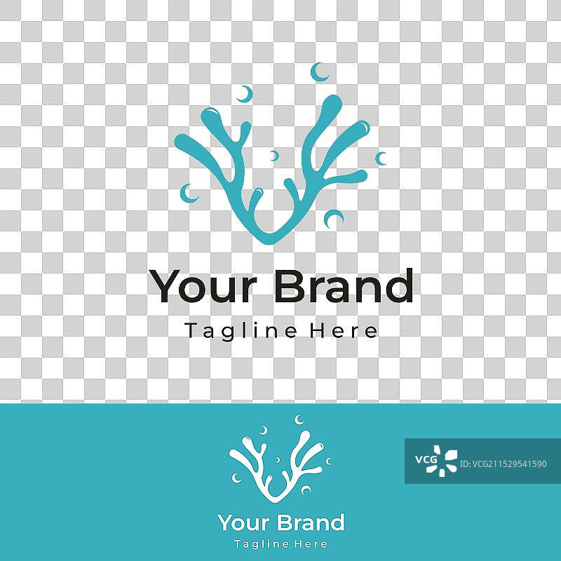 美丽多彩的自然水下珊瑚礁图片素材