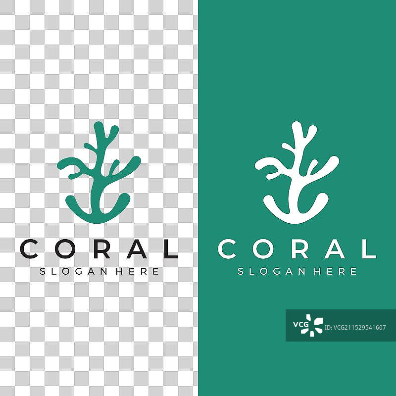 美丽多彩的自然水下珊瑚礁图片素材