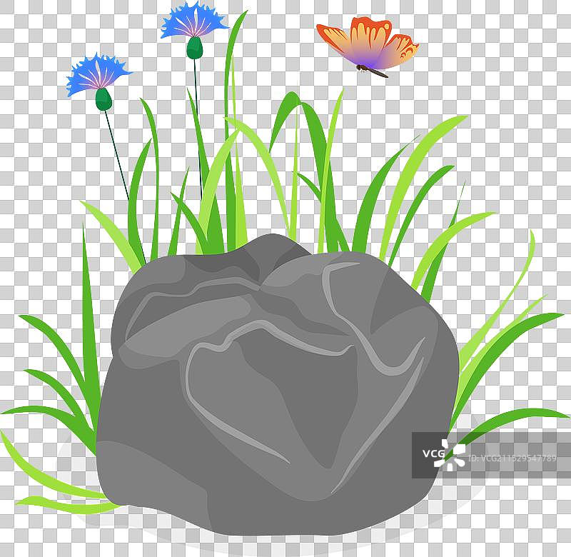 石头与花朵图片素材