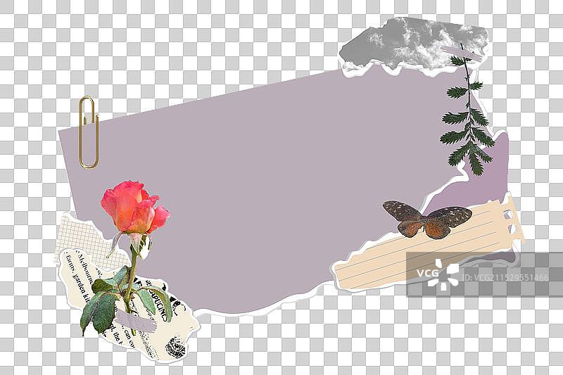 撕裂纸张和花朵的横幅拼贴画图片素材