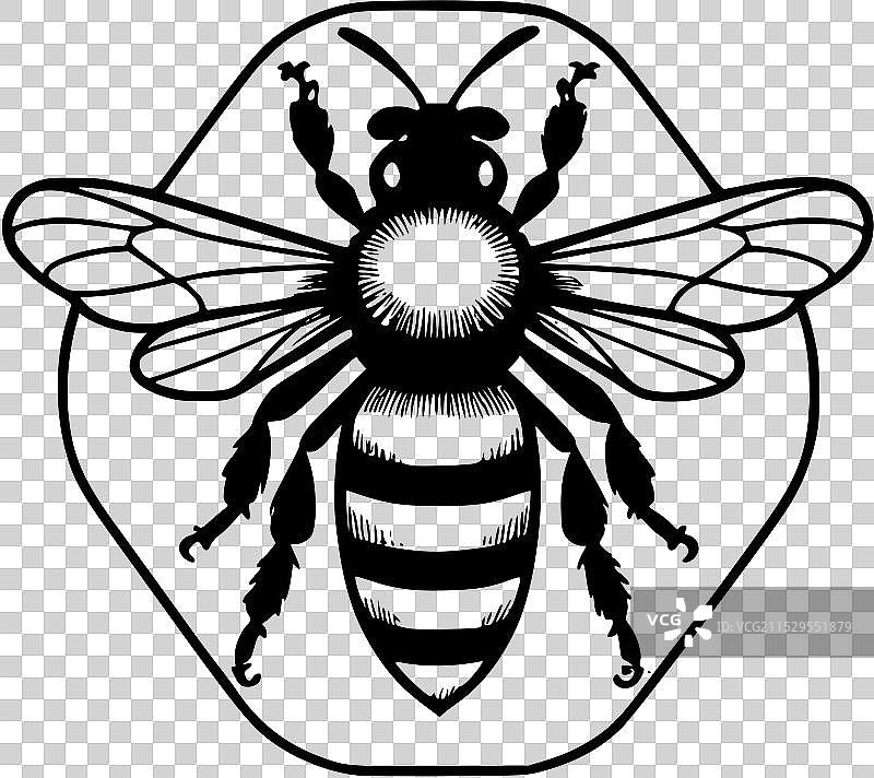 一幅黑白蜜蜂的画作图片素材