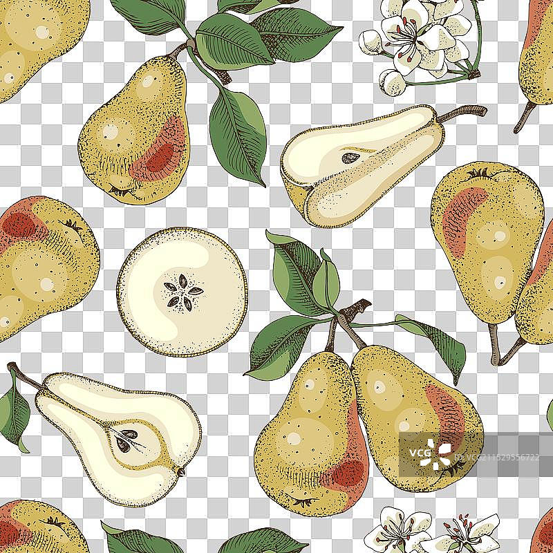 梨子无缝图案图片素材