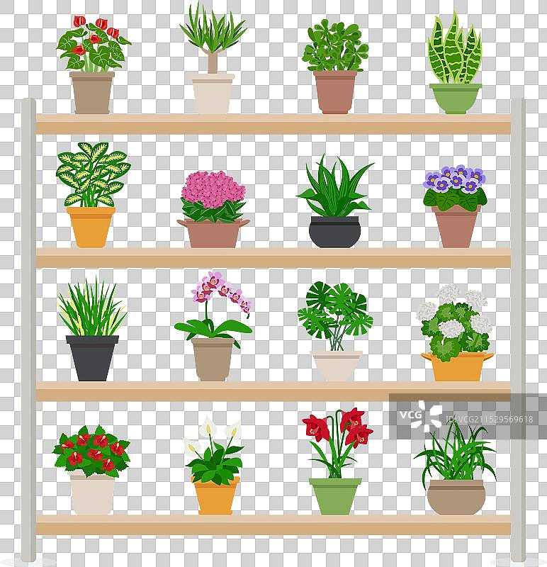 架子上的室内植物图片素材