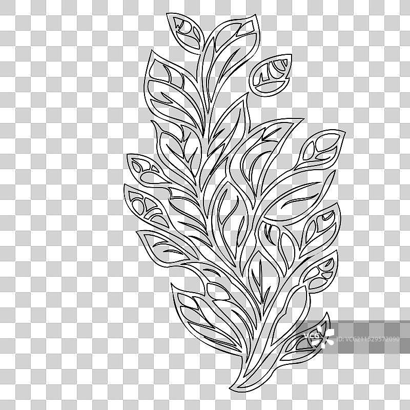 龙头花植物素描轮廓图片素材