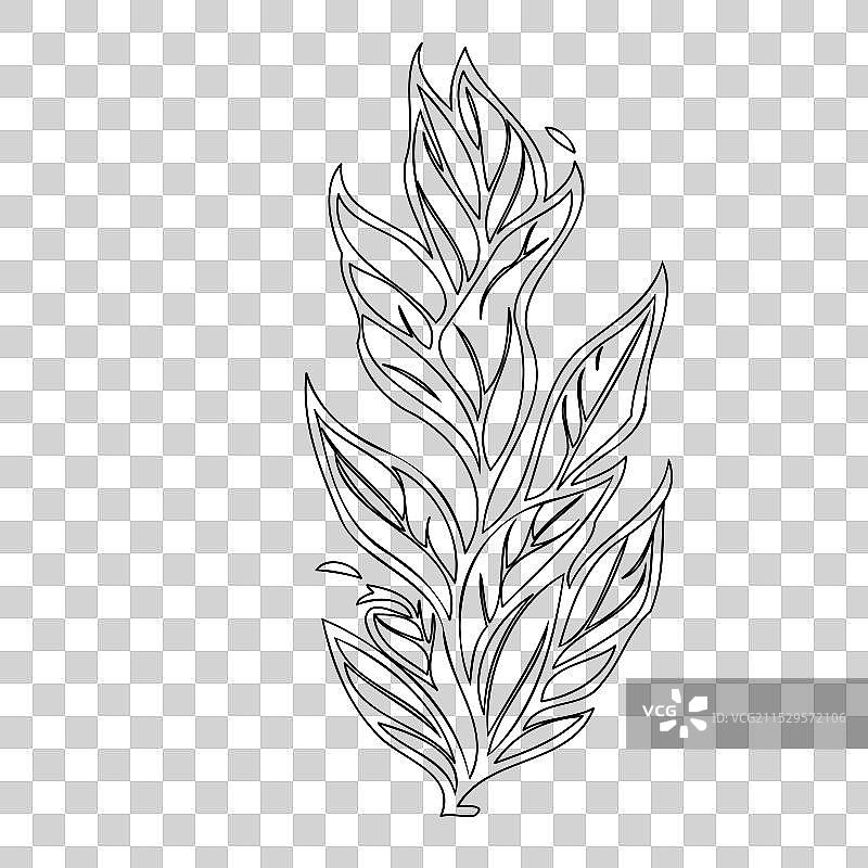 龙头花植物素描轮廓图片素材