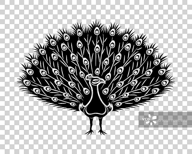 美丽的孔雀图标图片素材